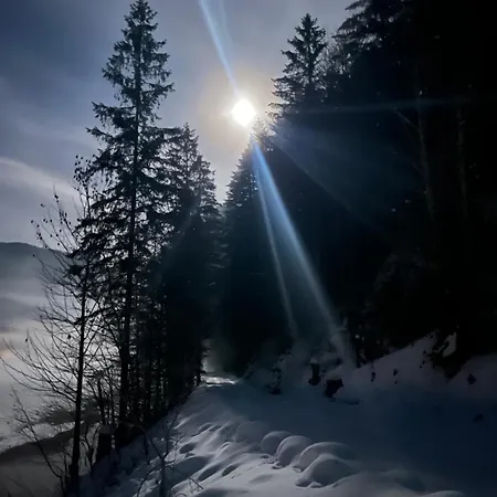 The Mountain Nest