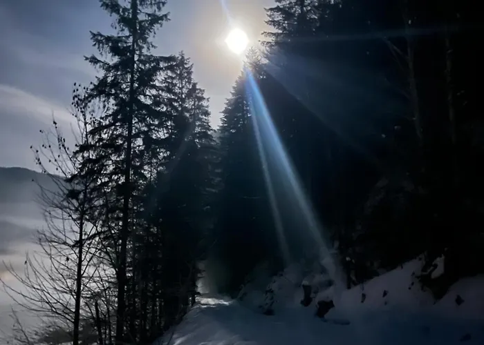 The Mountain Nest